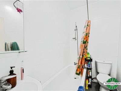 Picture 13